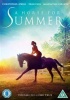 A Horse For Summer Photo