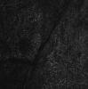 Order of Noise Photo