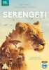 Serengeti Photo