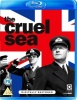 The Cruel Sea - Photo