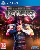 SEGA Fist of the North Star: Lost Paradise Photo