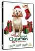 The Dog Who Saved Christmas Collection Photo