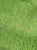 Seagull Artificial Grass Roll Photo