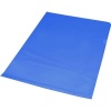 Bantex B2201 Anti-Reflective Secretarial Folders Photo