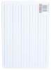 Parrot Plastic Writing Slate - Writing Lines Photo