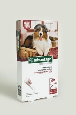 Photo of Bayer Advantage - Large Dogs
