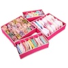 Baobab Underwear Storage Box - Pink Photo
