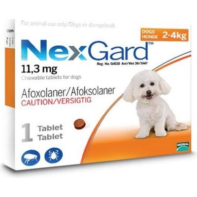 Photo of NexGard Chewable Tick & Flea Tablet for Dogs - 2-4kg
