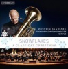 BIS Publishers Snowflakes Photo