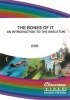 The Bones of It Photo