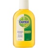 Dettol Antiseptic Liquid Photo