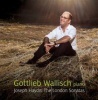 Gottlieb Wallisch: Joseph Haydn - The London Sonatas Photo