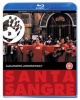 Santa Sangre Photo