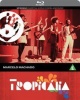 Mr Bongo Records TropicÃ¡lia Photo