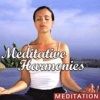 Lifestyles Press Meditative Harmonies Photo