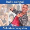 Universal Abb Main Vengaboy Photo