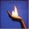 Frontline Publishers Inc Ice on Fire Photo
