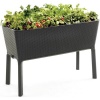 Keter Full Bloom Garden Bed Photo