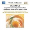 Naxos Passaggi: Joseph Schwantner/Stephen Michael Gryc/... Photo