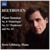 Naxos Beethoven: Piano Sonatas Photo
