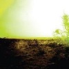 Allegro Strings of Consciousness & Angel Photo
