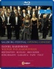 Salzburg Opening Concert: 2010 Photo