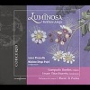Luminosa Buenos Aires Photo