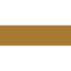 Liquitex Professional - Heavy Body Acrylic Paint - 59ml - Raw Umber Photo
