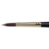Winsor Newton W&N Galeria Brush Short Handled Photo