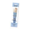 Royal Brush Gold Nylon Acrylic Brush Set Photo