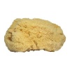 Handover Natural Sea Sponge Extra Large Photo