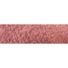 Caran Dache Museum Pencil - Burnt Sienna 50% Photo