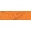 Caran Dache Artist Neopastel - Flame Red Photo