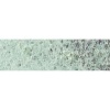 Caran Dache Caran D Ache Pastel Pencil - Earth Green Photo