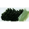 Lukas Studio Oil - Green Earth Photo