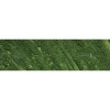 Williamsburg Oil Colour - Italian Terra Verte Photo