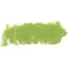 Rembrandt Talens Soft Pastel - Olive Green TR620.7 Photo