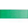 Old Holland Watercolour - Emerald Green Photo