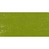 Mount Vision Soft Pastel - Cool Grass Green 060 Photo