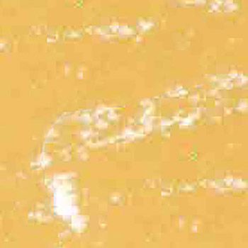 Photo of Mount Vision Soft Pastel - Gold Ochre 481