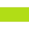 Caran Dache Caran d'Ache Pablo Coloured Pencil - Lime Green 231 Photo
