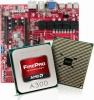 Sapphire A320 Professional Micro ATX Workstation Motherboard Photo