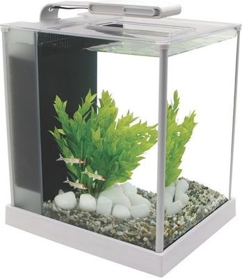 Photo of Fluval SPEC 3 - 10L Desktop Glass Aquarium Kit