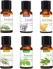 Cosprof Aromatherapy Essential Oils Photo