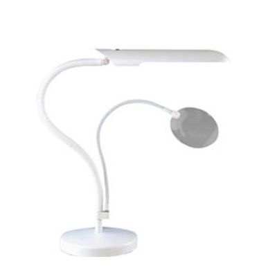 Photo of Daylight Lighting Table Lamp and Magnifying Lens