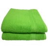 Bunty 's Plush 450 Bath Sheet Lime 090x150cms 450GSM Photo