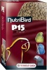 Versele Laga Versele-Laga NutriBird P15 Original Maintenance Pellets for Parrots Photo