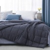 Anti Anxiety Weighted Blanket Photo