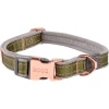Rogz Urban Classic Dog Collar Photo