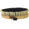 Rider Horse Body Brush Photo